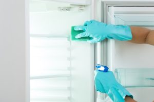 Guide Clean Appliances